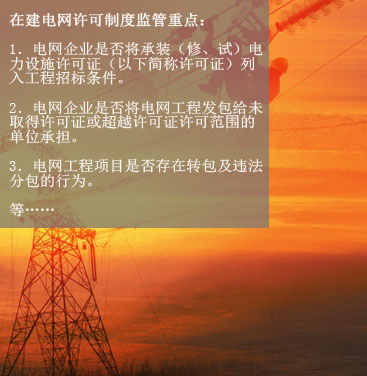 八、在建電網(wǎng)工程項(xiàng)目許可制度執(zhí)行情況