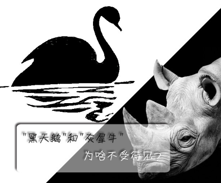 "黑天鵝"和"灰犀牛"為啥不受待見(jiàn)？