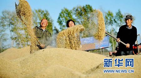 示范縣創(chuàng)建活動簡介