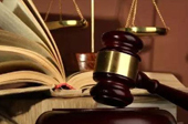 抓害群之馬，助金融改革一臂之力