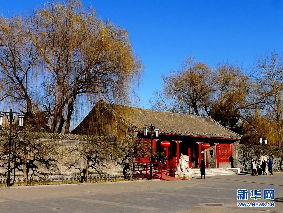 冬至，漫步大觀園