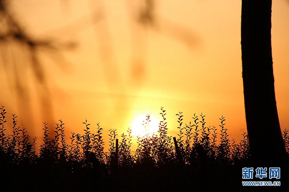 日落西山頭，人約黃昏后