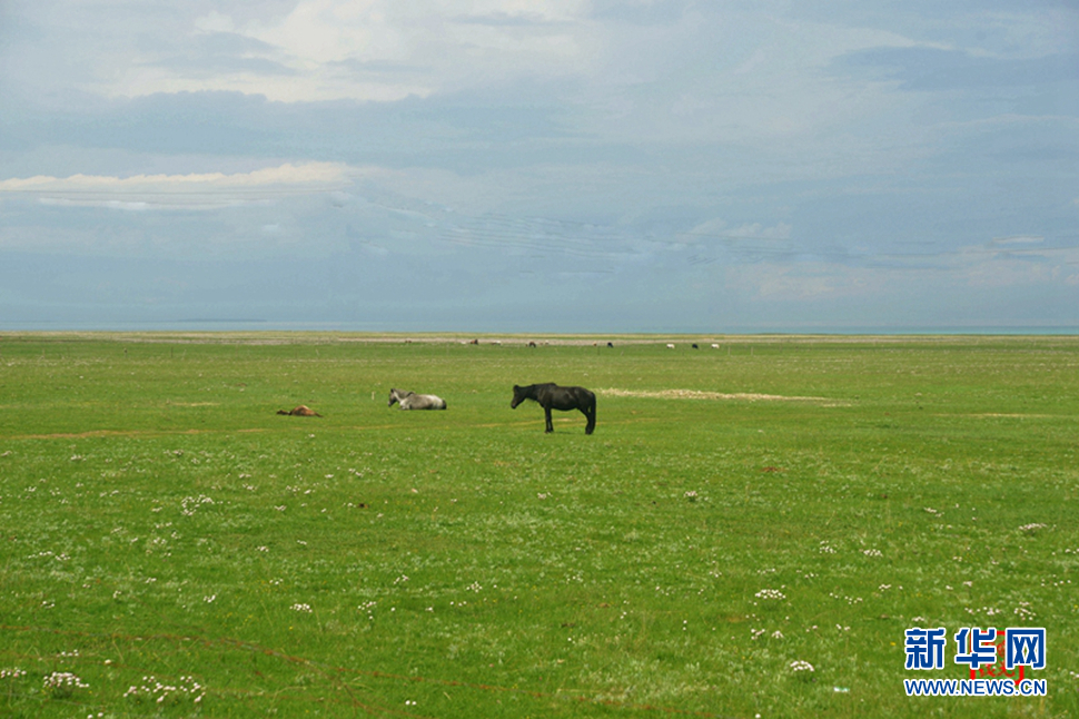 高原放歌之那山、那寺、那朵云
