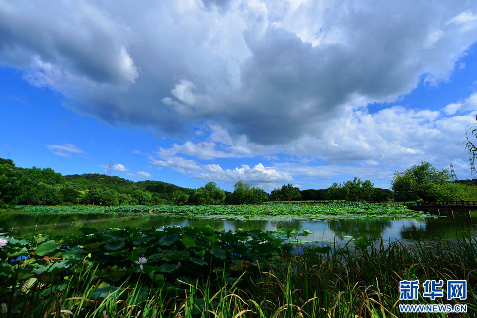 秋高氣爽，行攝八掛田