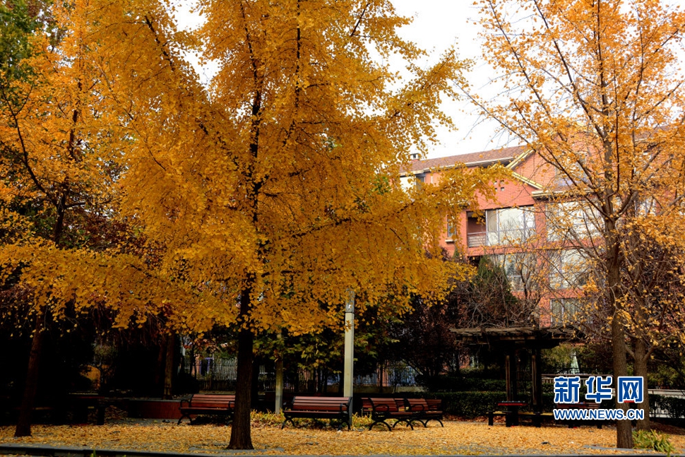 《無盡畫意鏡頭中》