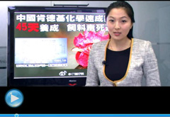 權(quán)威聲音：“快時(shí)代”究竟還有什么可以速成？