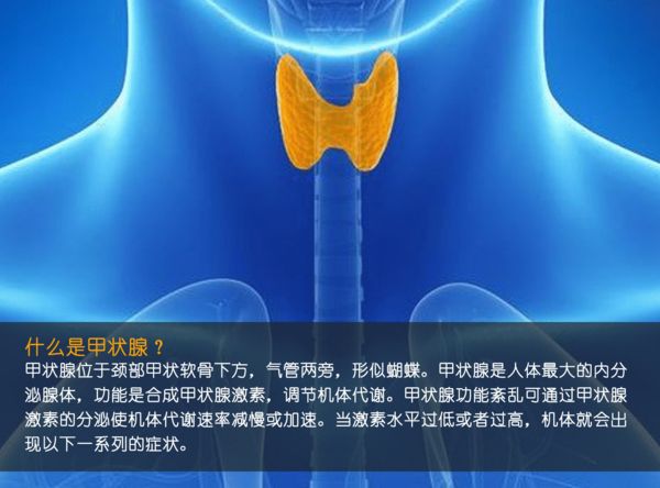 關(guān)注甲狀腺健康，你應(yīng)該知道的那些事