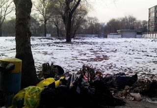 圖片報(bào)道:農(nóng)展館地塊有望成為新地王