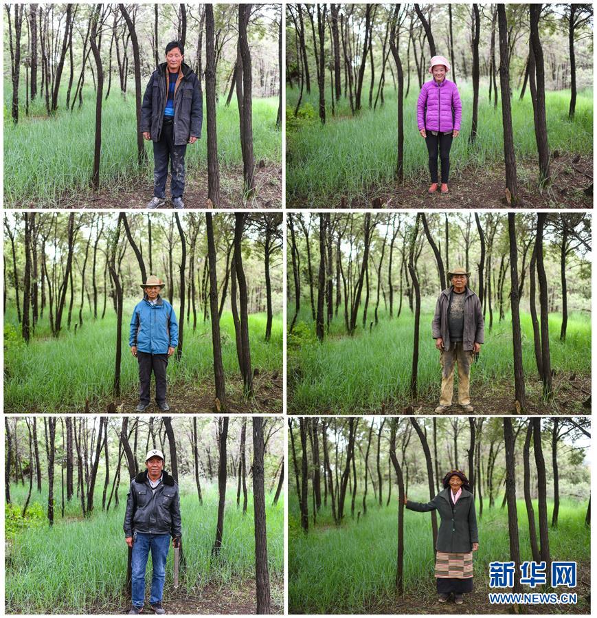 （十九大·讀報(bào)告 話民生）（9）加快生態(tài)文明體制改革，建設(shè)美麗中國(guó)