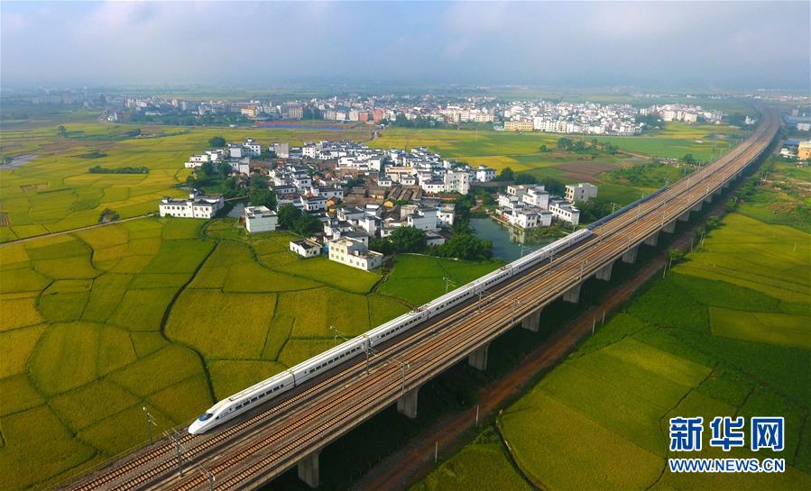 （十九大·讀報(bào)告 話(huà)民生）（14）加快生態(tài)文明體制改革，建設(shè)美麗中國(guó)