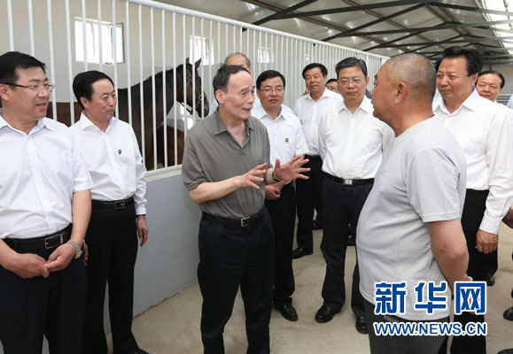 這是7月3日，王岐山在錫林浩特市義合良種馬繁育基地考察。新華社記者 龐興雷 攝