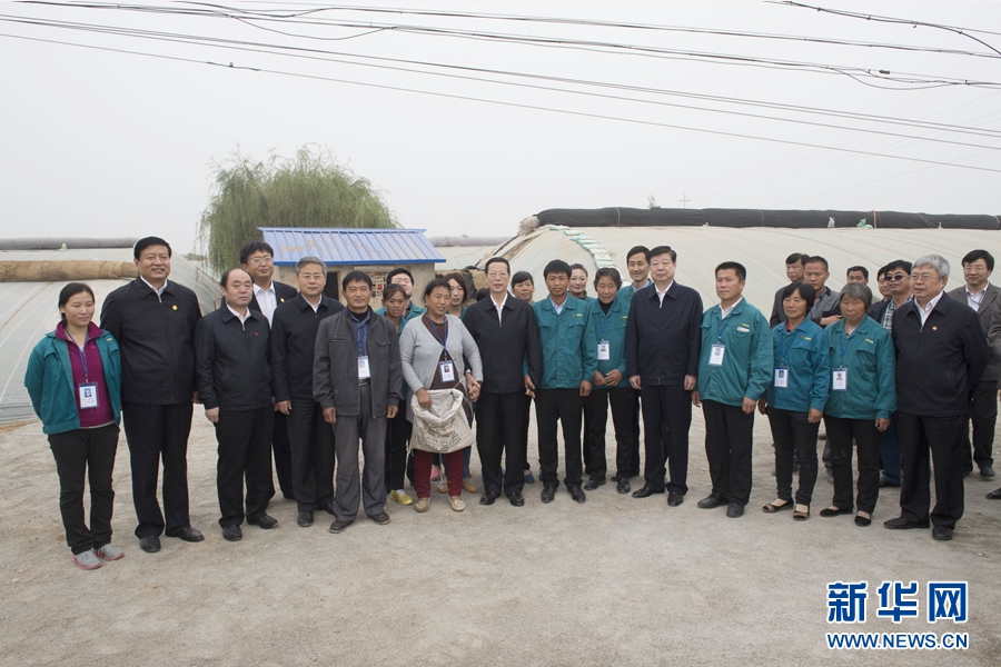 10月22日至23日，中共中央政治局常委、國務院副總理張高麗在山東調(diào)研扶貧工作情況。這是10月23日，張高麗在菏澤市定陶縣杜堂鎮(zhèn)轆灣村中遠蔬菜專業(yè)合作社調(diào)研時與當?shù)夭宿r(nóng)合影。 新華社記者 王曄 攝