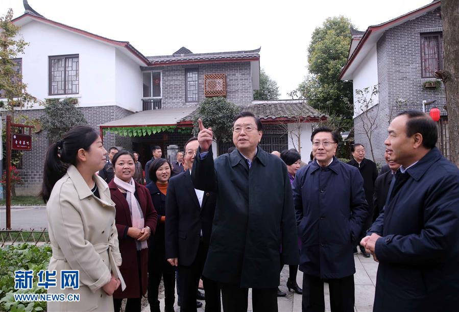 這是11月22日，張德江來到成都郫縣青杠樹村，了解村民委員會(huì)工作情況。 新華社記者 劉衛(wèi)兵 攝 