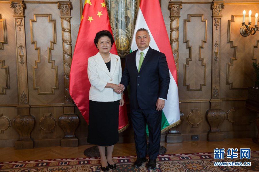  6月21日，國務(wù)院副總理劉延?xùn)|（左）在匈牙利布達(dá)佩斯國會大廈會見匈牙利總理歐爾班。 新華社發(fā)（弗爾季·奧蒂洛攝）