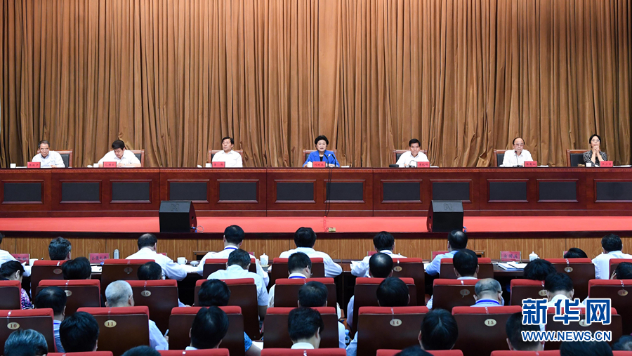 6月25日，全國(guó)民族團(tuán)結(jié)進(jìn)步創(chuàng)建經(jīng)驗(yàn)交流現(xiàn)場(chǎng)會(huì)在內(nèi)蒙古興安盟召開(kāi)，中共中央政治局委員、國(guó)務(wù)院副總理劉延?xùn)|出席會(huì)議并講話。 新華社記者 陳曄華 攝
