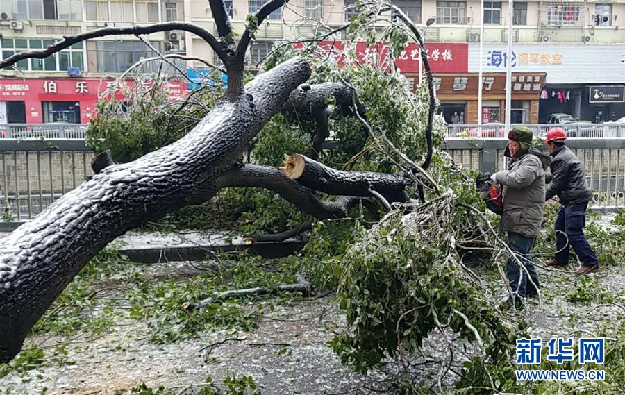 （新華全媒頭條）（7）雨雪冰凍中，他們奮力前行——基層黨員干群抗擊冰雪災(zāi)害紀(jì)實