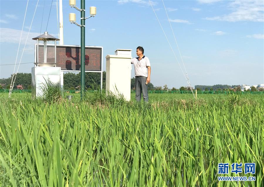 （新華全媒頭條·紀(jì)念改革開放40年特稿·圖文互動(dòng)）（6）向著新航程揚(yáng)帆奮進(jìn)！——從小崗精神看中國(guó)改革開放40年