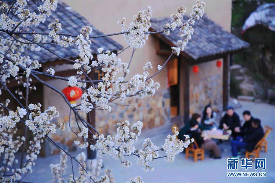#（社會(huì)）（4）春暖花開迎客來(lái)