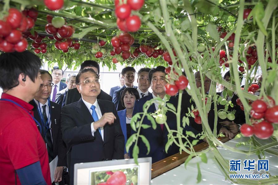 （時政）李克強參觀北海道惠庭市現代生態(tài)農場