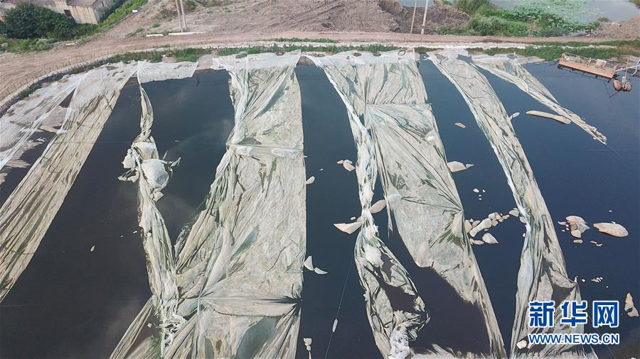 （新華視點(diǎn)&middot;圖文互動(dòng)）（4）中央督察兩年有的絲毫未改，有的不減反增&mdash;&mdash;江蘇泰興數(shù)萬噸化工廢料和污泥堆放長(zhǎng)江邊調(diào)查