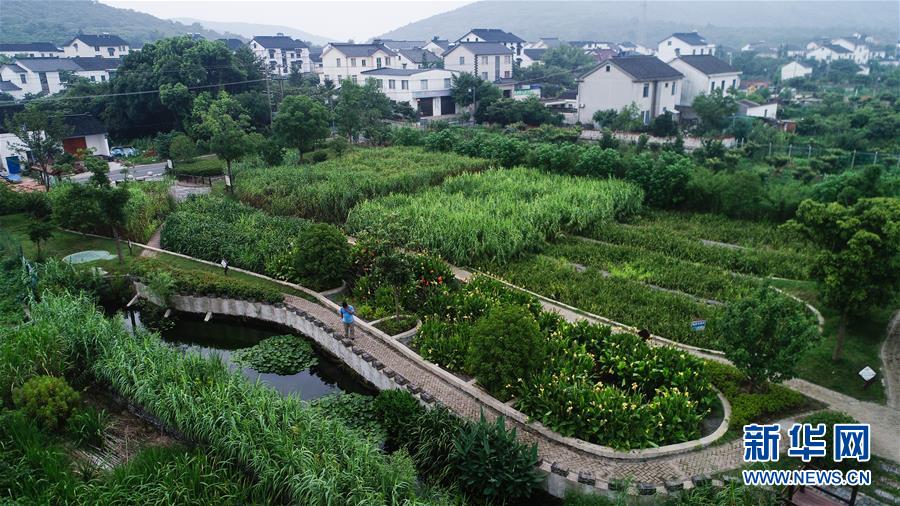 （在習(xí)近平新時代中國特色社會主義思想指引下——新時代新作為新篇章·圖文互動）（1）稀奇！治污濕地成了休閑公園——江蘇蘇州全域推進農(nóng)村生活污水治理