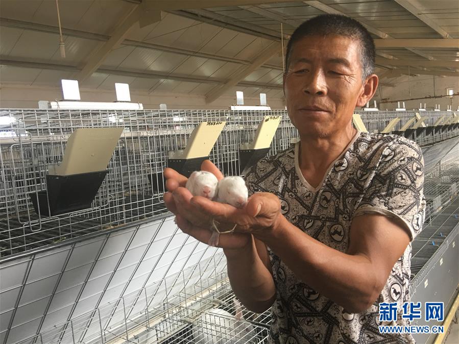(新華全媒頭條·在習近平新時代中國特色社會主義思想指引下——新時代新作為新篇章·圖文互動)(10)綠富同興畫卷在沙海中鋪展——庫布其沙漠生態(tài)治理紀實