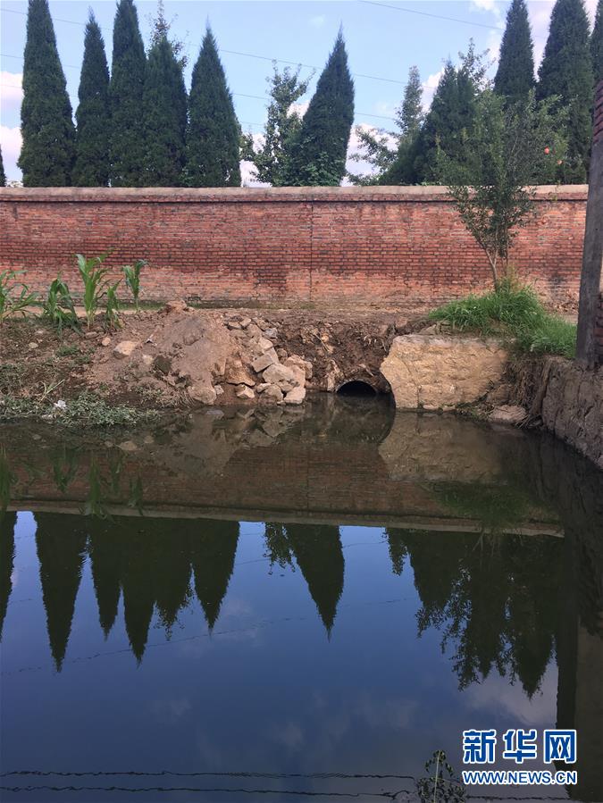 （新華視點·圖文互動）（3）上游洪水來襲下游魚蟹死亡，泄洪為何變泄污？