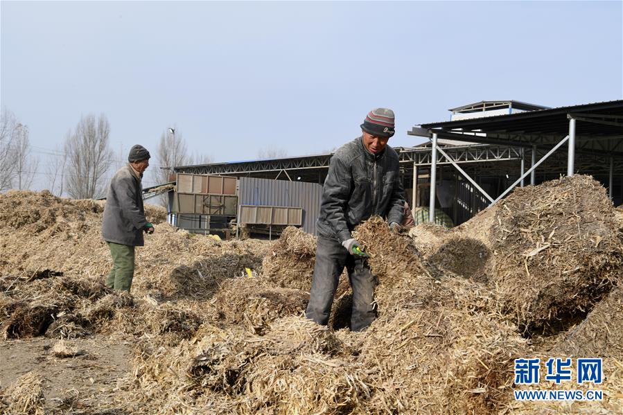 （在習(xí)近平新時代中國特色社會主義思想指引下——新時代新氣象新作為·鄉(xiāng)村振興戰(zhàn)略·圖文互動）（2）“與其放火，不如打包”——山西渾源秸稈綜合再利用見聞