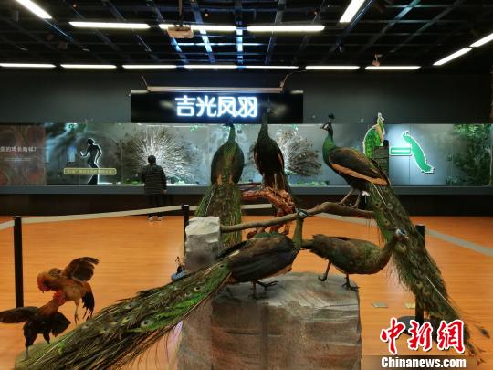 先有雞還是先有蛋？這個(gè)科普展覽有點(diǎn)“不一般”