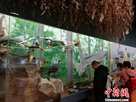 圖為展覽現(xiàn)場(chǎng)。　胡遠(yuǎn)航 攝