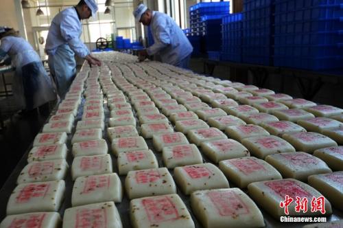 資料圖：師傅們在把制作好的桂花糖年糕擺放整齊。王思哲 攝