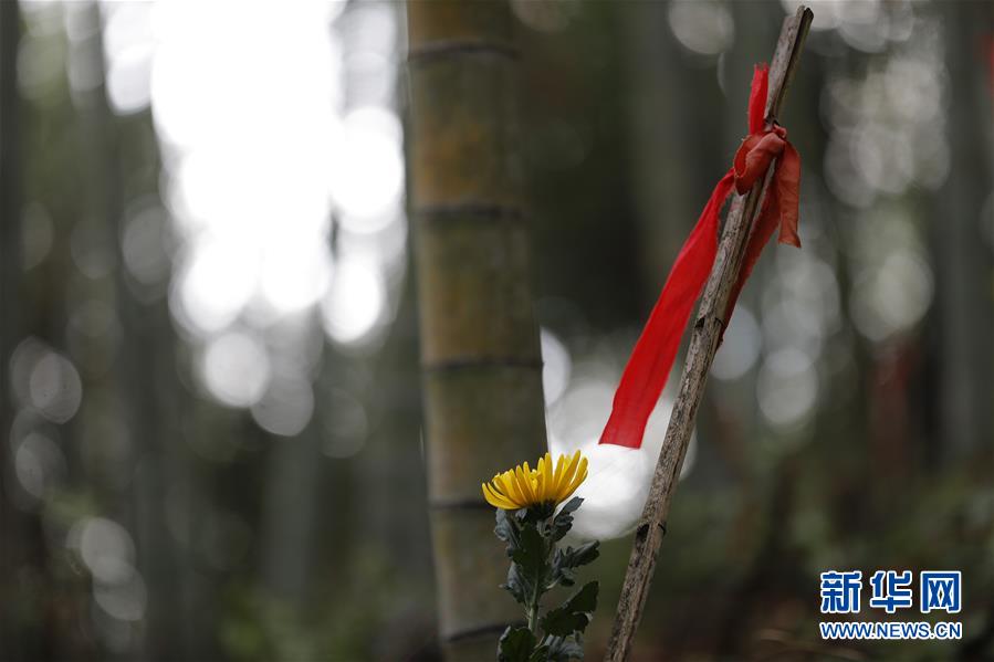 (圖文互動)(5)永不遲到的祭奠——追尋1343座無名紅軍墓背后的故事