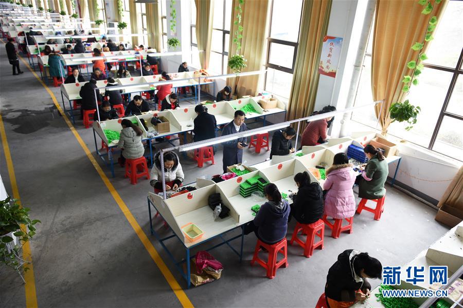 （在習(xí)近平新時(shí)代中國(guó)特色社會(huì)主義思想指引下——新時(shí)代新作為新篇章·圖文互動(dòng)）（5）“搬遷到哪里，服務(wù)就延伸到哪里”——貴州推進(jìn)易地扶貧搬遷“后半篇文章” 