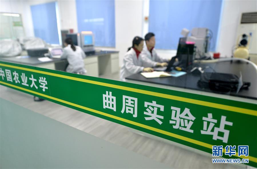 （愛國(guó)情 奮斗者·圖文互動(dòng)）（3） “解民生之多艱，育天下之英才”——中國(guó)農(nóng)大師生扎根田野書寫奉獻(xiàn)之歌