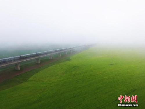 資料圖：動車組穿越雨霧中的油菜花海宛若穿越時(shí)空。 楊艷敏 攝