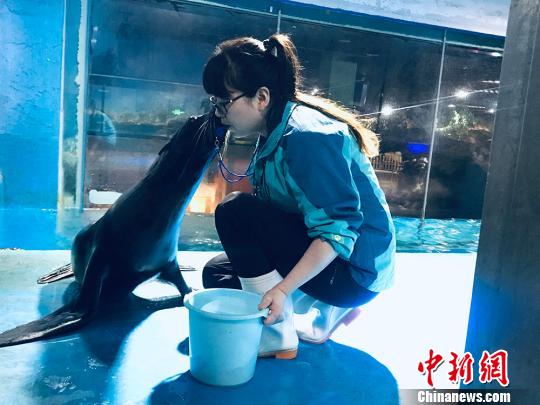 于雅麗與海獅親密瞬間?！“瑧c龍 攝