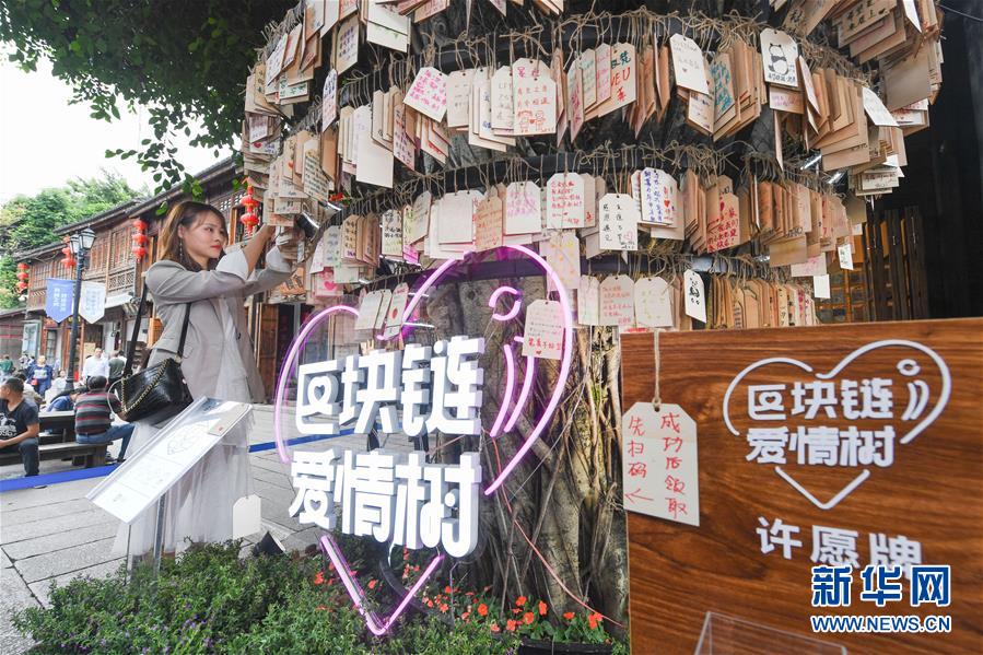 （新華全媒頭條·圖文互動(dòng)）（9）從“數(shù)字中國”看中國發(fā)展新信號(hào)、新亮點(diǎn)、新趨勢