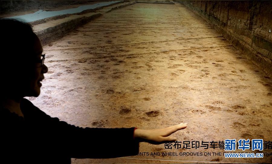 （新華全媒頭條·圖文互動(dòng)）（6）“若問古今興廢事，請(qǐng)君只看洛陽城”——千年古都“烹制”博物館盛宴
