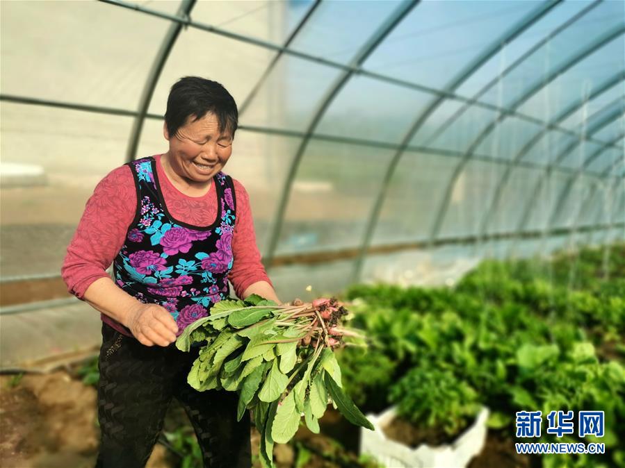 （圖文互動）（3）（在習(xí)近平新時代中國特色社會主義思想指引下——新時代新作為新篇章）“團結(jié)”振興團結(jié)村——黑龍江拜泉縣團結(jié)村凝聚民心攻堅脫貧