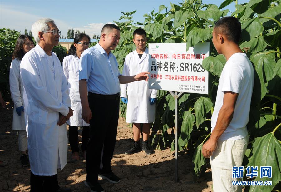 （愛國情 奮斗者·圖片互動(dòng)）（3）張永平：像打造“中國芯”一樣打造“中國葵”