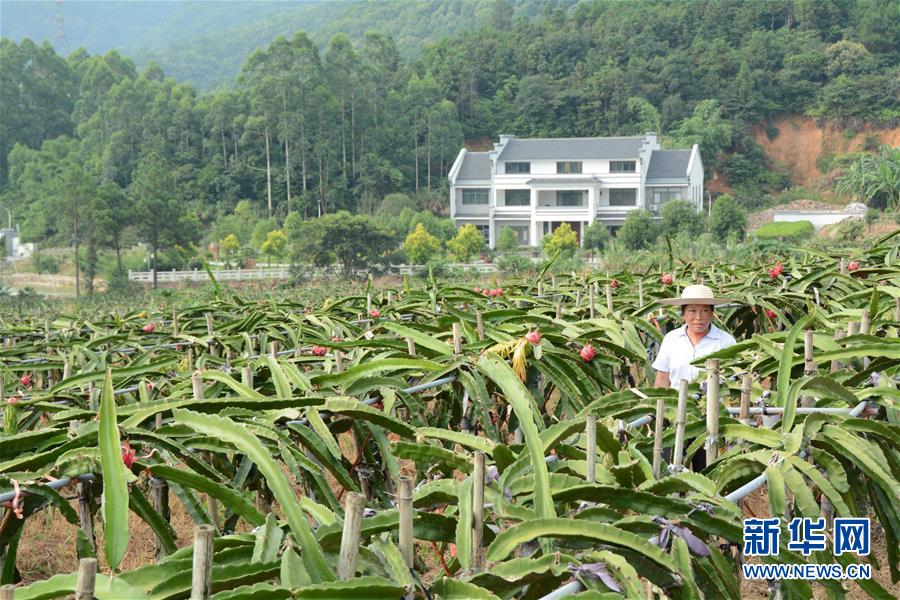 （在習(xí)近平新時代中國特色社會主義思想指引下——新時代新作為新篇章·總書記關(guān)心的百姓身邊事·圖文互動）（6）大污染變身“大寶藏”：治理畜禽糞污，他們這樣干！