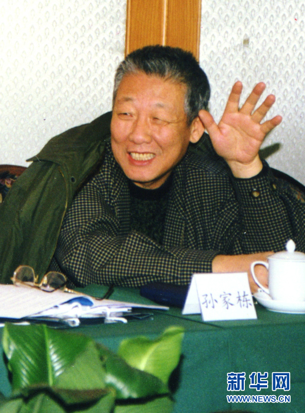 （壯麗70年·奮斗新時(shí)代——共和國榮光·圖文互動）（3）孫家棟：一輩子與衛(wèi)星打交道的航天“大總師”