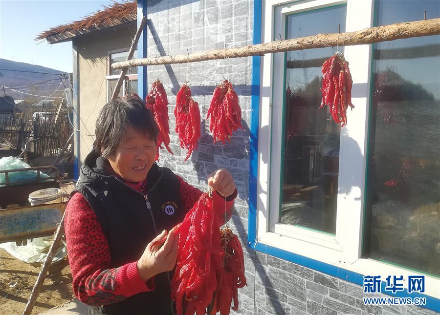 （在習(xí)近平新時(shí)代中國特色社會主義思想指引下——新時(shí)代新作為新篇章·總書記關(guān)心的百姓身邊事·圖文互動）（3）一個貧困山村的振興新動能——小故事里的大情懷之五