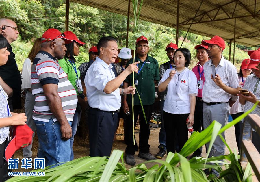（不忘初心、牢記使命·圖文互動）（5）拳拳寸草心 濃濃報國情——記“菌草之父”林占熺
