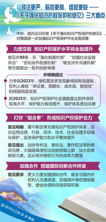 （圖表）[新華調(diào)查]執(zhí)法更嚴(yán)、賠償更高、維權(quán)更快——《關(guān)于強(qiáng)化知識(shí)產(chǎn)權(quán)保護(hù)的意見(jiàn)》三大看點(diǎn)