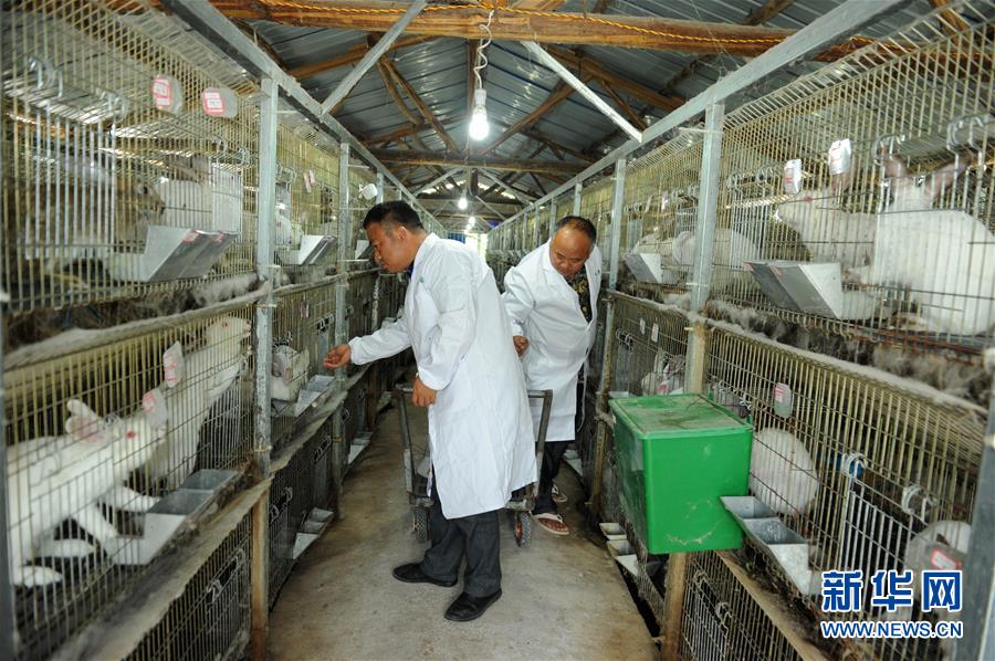（新華全媒頭條·圖文互動）（4）干部去哪兒了？——貴州干部大規(guī)模下沉脫貧攻堅一線紀實