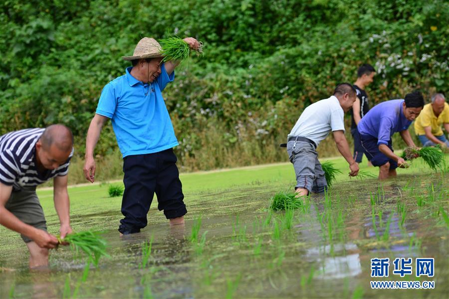 （新華全媒頭條·圖文互動）（8）干部去哪兒了？——貴州干部大規(guī)模下沉脫貧攻堅一線紀實
