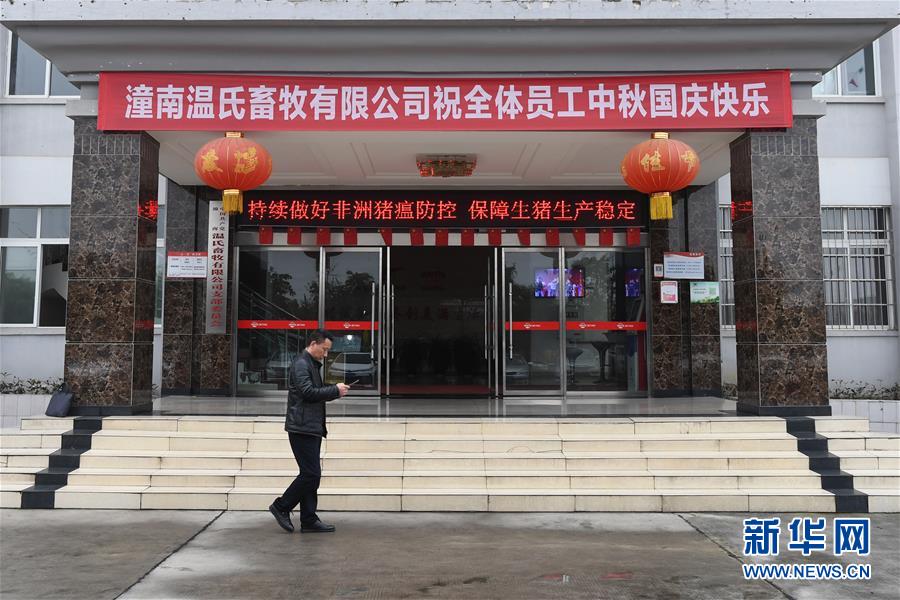 （在習(xí)近平新時(shí)代中國(guó)特色社會(huì)主義思想指引下——新時(shí)代新作為新篇章·總書(shū)記關(guān)切高質(zhì)量發(fā)展·圖文互動(dòng)）（1）穩(wěn)住“一頭豬”、供好“一袋米”、配好“一籃菜