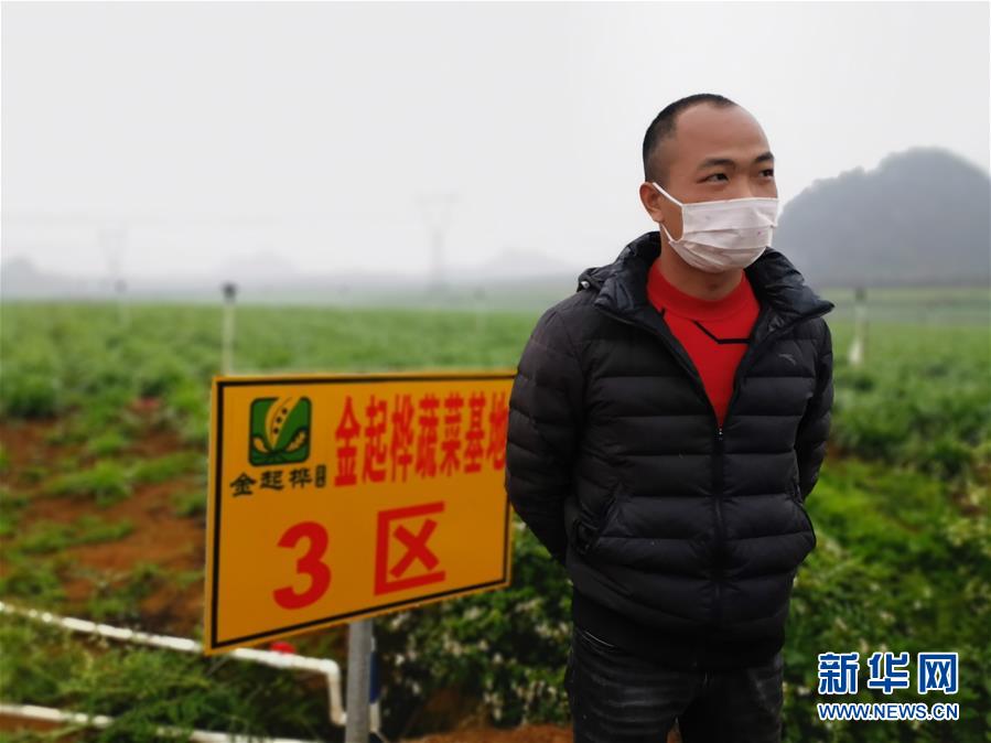 （聚焦疫情防控·圖文互動(dòng)）（2）“得知要送武漢 凌晨出來摘菜”——中國(guó)“南菜園”廣西全力抗疫保供應(yīng)