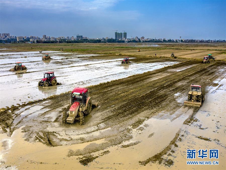 （圖文互動）讓“世界工廠”心不慌——廣東春耕生產(chǎn)見聞
